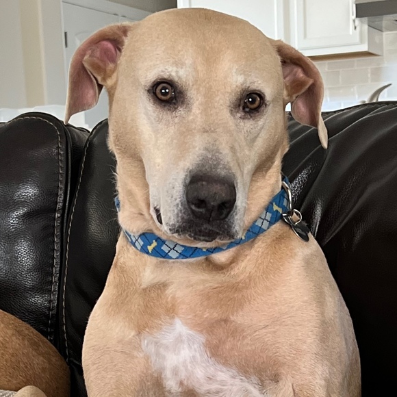 Meet your Posher, Katherine - Picture 1 of 1